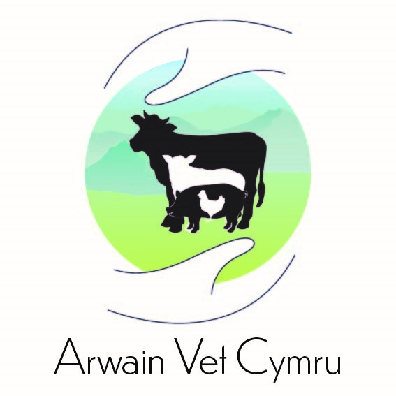 Arwain Vet Cymru logo